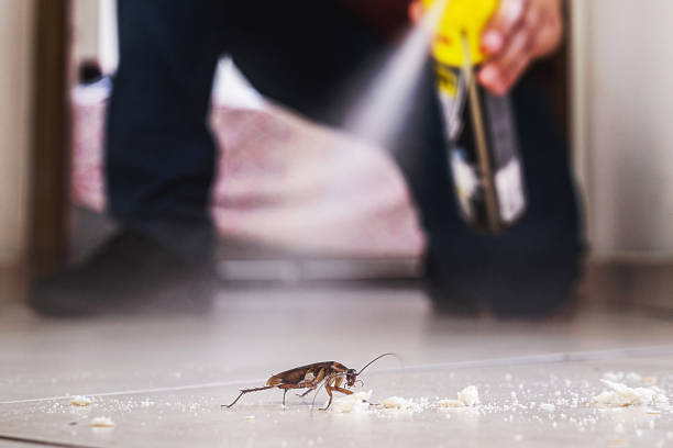 Elbow Lake, MN Pest Control Company